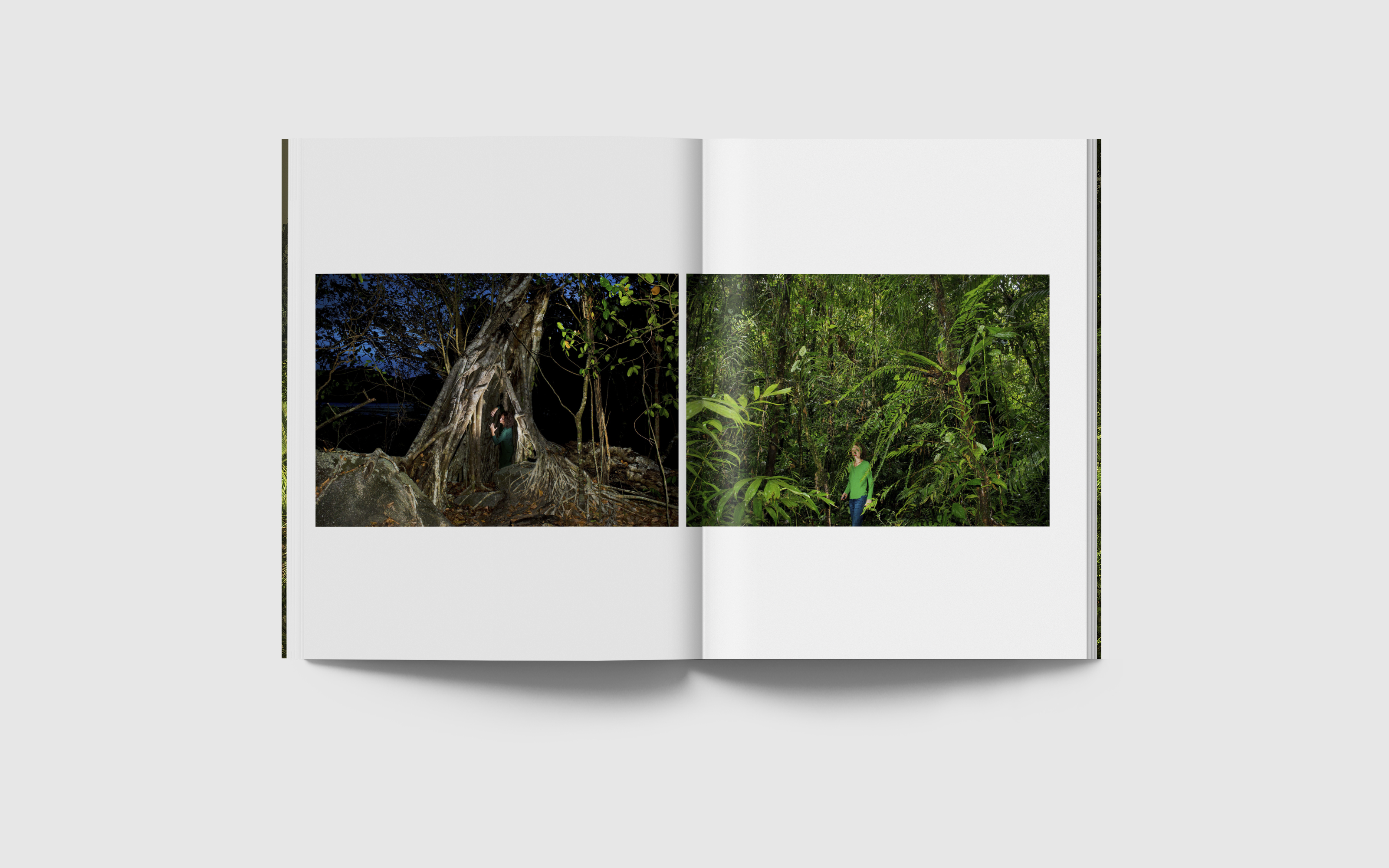Lancement du financement participatif pour le livre d’Olivia Lavergne, ‘Jungles’