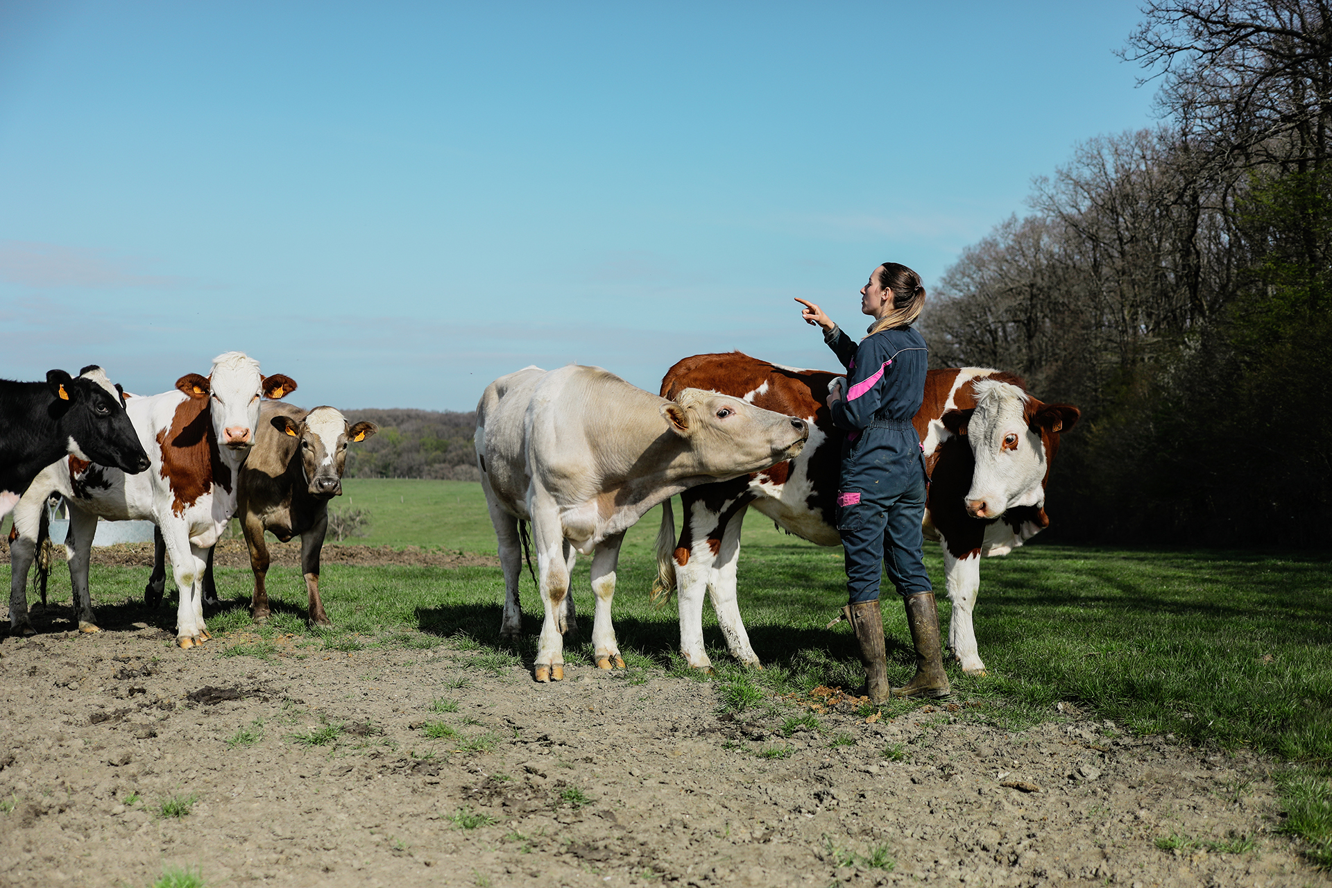 Cliché d'une femme fermière dans une prairie à la campagne au milieu de ses vaches par Anouk Desury