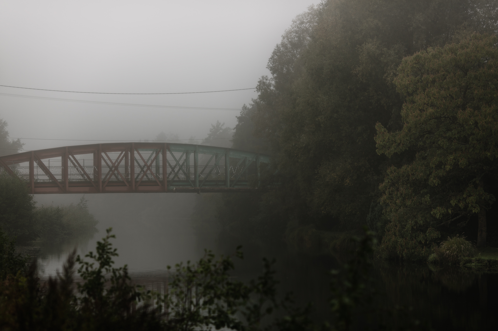 Photo paysage d'une forêt et d'un pont à l'architecture unique dans la brume par Quentin Pruvost