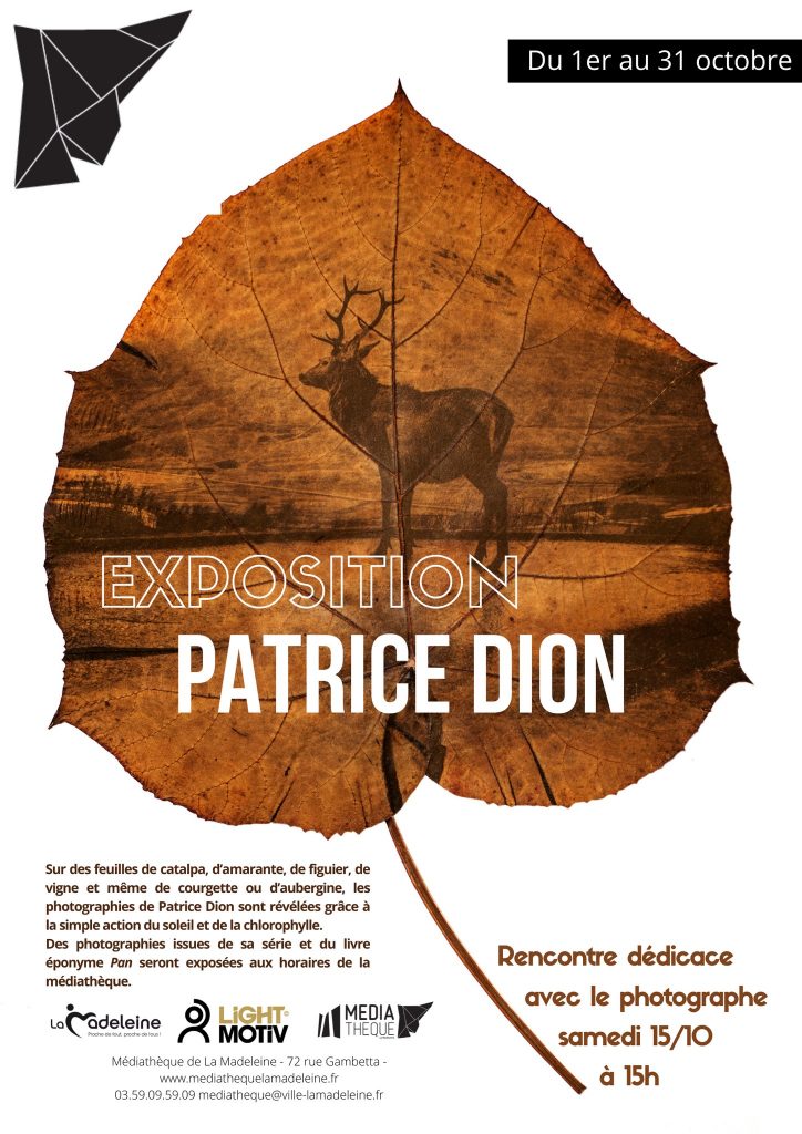 Pan-Patrice_Dion