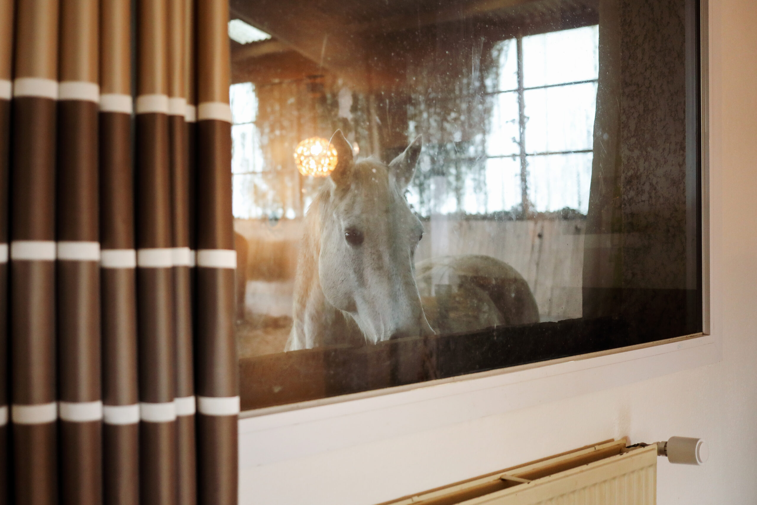 Coup de fouet pour mélanger le savon, dans l'atelier de Cyril, savonnier à Boeschèpe dans le Nord de la France. La savonnerie des Flandres. Photographie de Nadège Fagoo (Light Motiv)