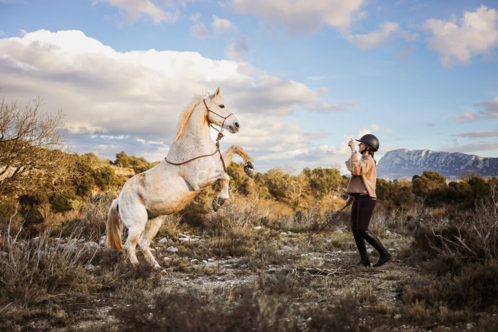 Dans l'atelier de Lucille, tourneuse sur bois, à Locre à la frontière belge.. Dégrossir le bloc de bois. Photographie de Nadège Fagoo (Light Motiv)
