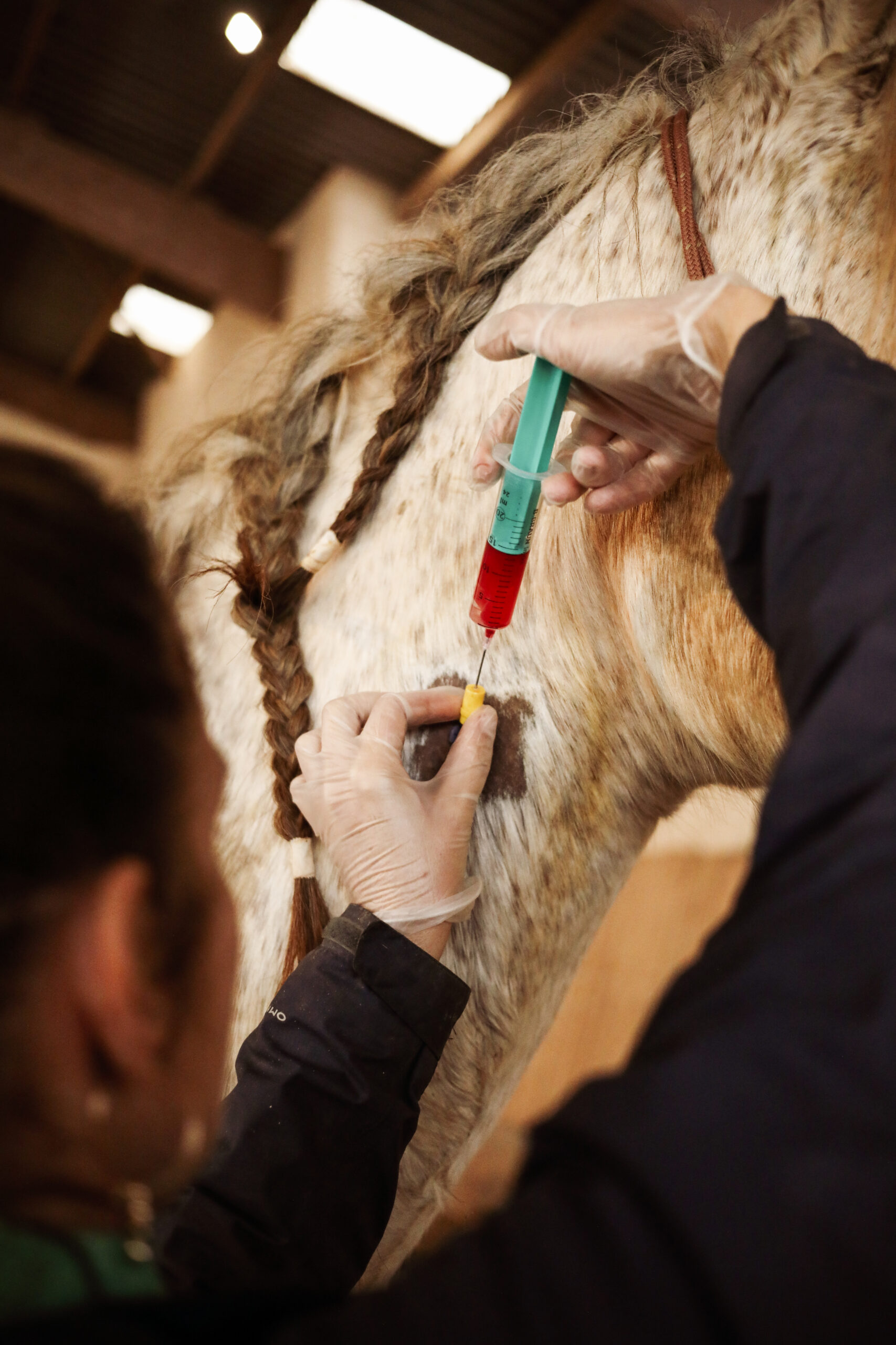 Vue des rangées de savon, dans l'atelier de Cyril, savonnier à Boeschèpe dans le Nord de la France. La savonnerie des Flandres. Photographie de Nadège Fagoo (Light Motiv)