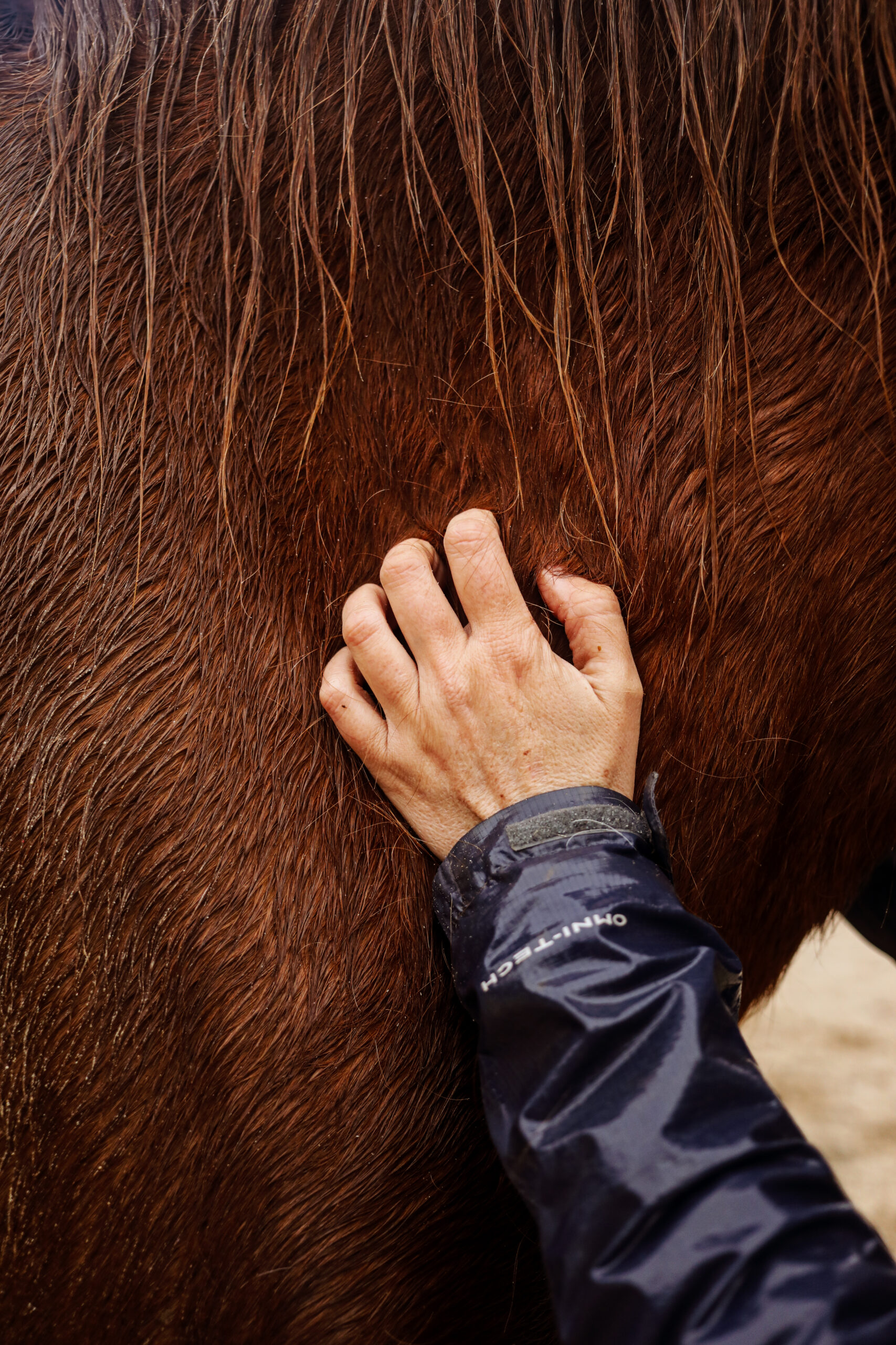 Coupe des blocs de savon, dans l'atelier de Cyril, savonnier à Boeschèpe dans le Nord de la France. La savonnerie des Flandres. Photographie de Nadège Fagoo (Light Motiv)