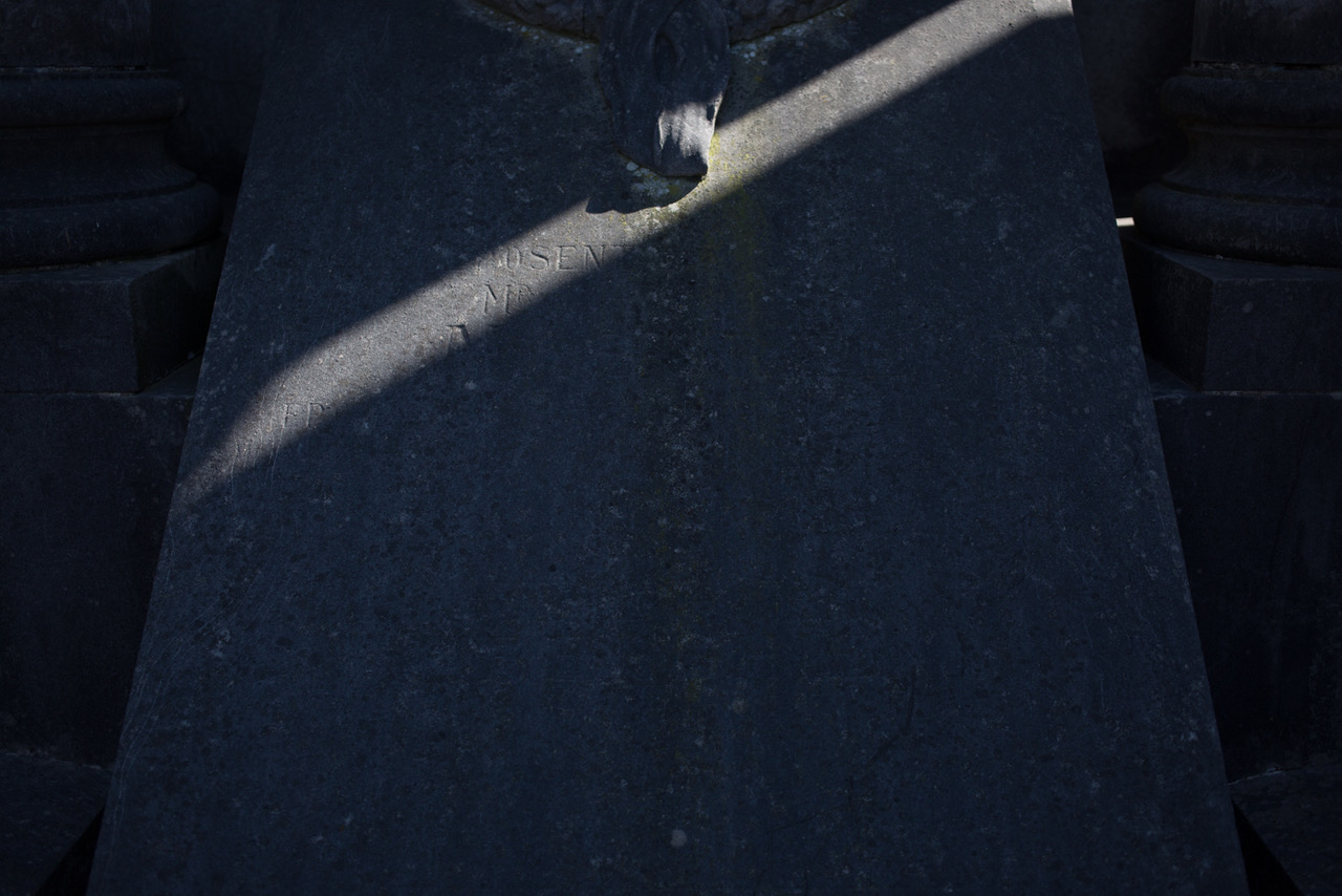 Portrait de Cyril dans son atelier, savonnier à Boeschèpe dans le Nord de la France. La savonnerie des Flandres. Photographie de Nadège Fagoo (Light Motiv)