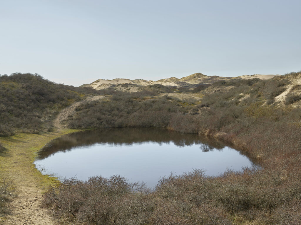 Photographie de Zélie Hallosserie / Light Motiv, issue de la série intitulée The Game, représentant de l'eau qui s'est accumulé pour former un petit lac au milieu d'une étendue de dunes, dans le cadre d'un reportage documentaire porté sur le voyage des migrants dans le nord de la France, sur la côte.