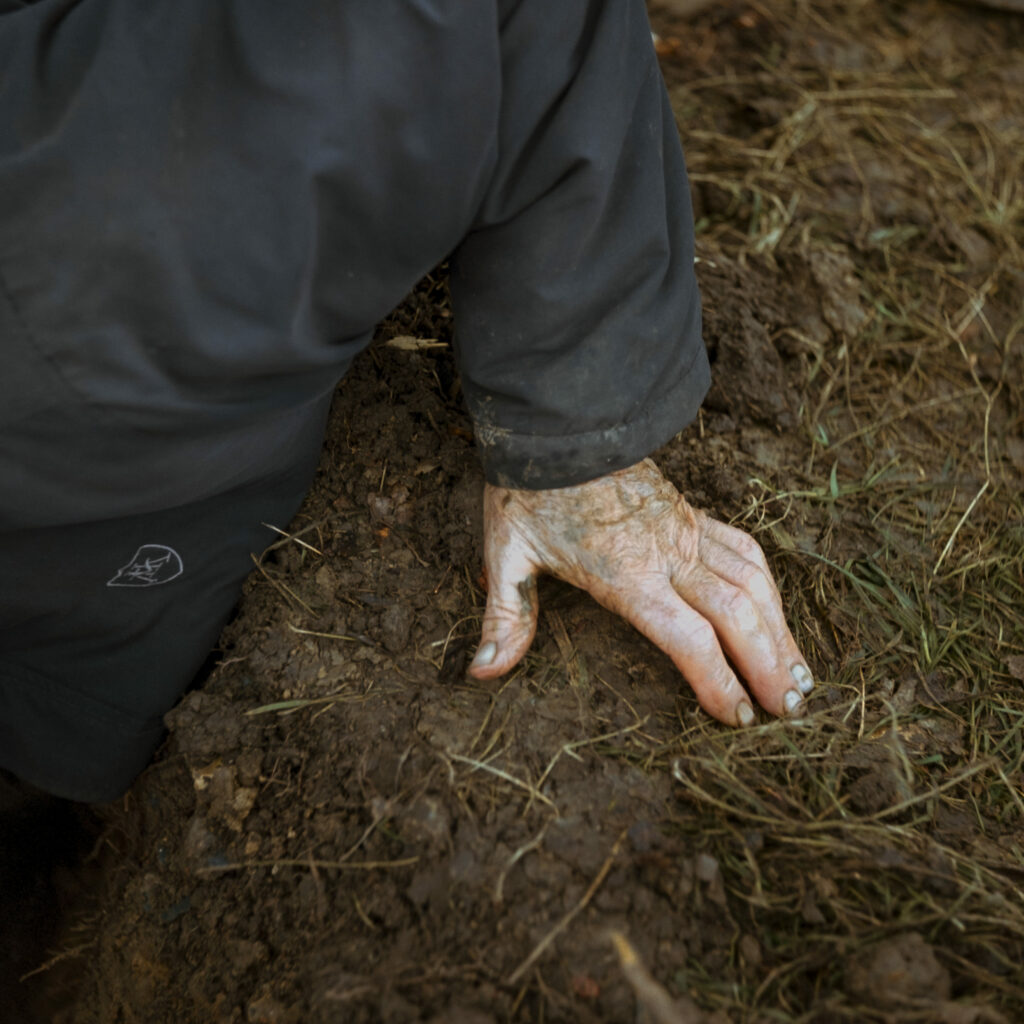 Photographie de Zélie Hallosserie / Light Motiv, issue de la série intitulé Jean Marie, représentant la main blanche à plat de Jean Marie sur un sol terreux, dans l'intention de capturer les moments de vie de Jean Marie.