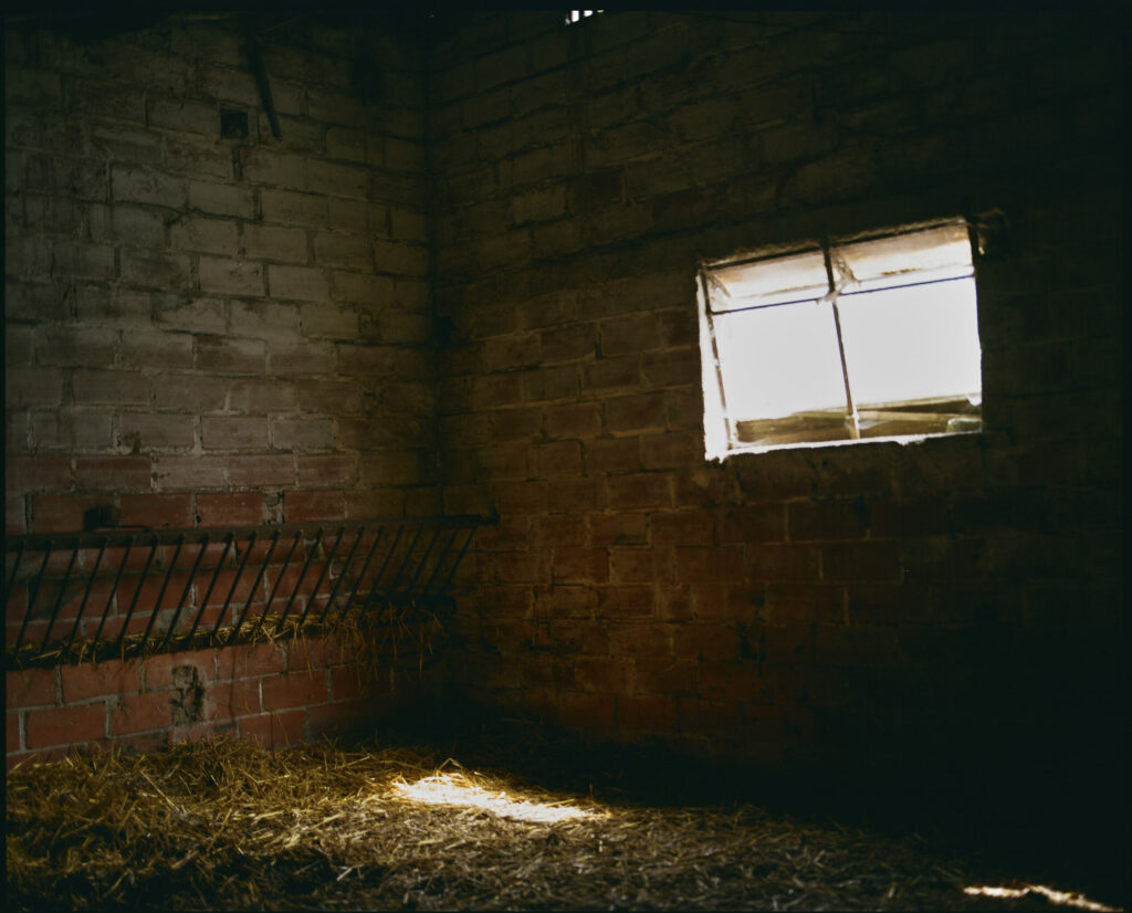 Photographie de Zélie Hallosserie / Light Motiv, issue de la série intitulé Jean Marie, représentant l'intérieur d'un enclos sombre et vide avec du foin répandu sur le sol et une seule petite fenêtre au mur laissant passer un peu de lumière, dans l'intention de capturer les moments de vie de Jean Marie.